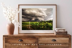 Storm Photography Print: Nebraska Vineyard Grape Vines Thunderstorm Photo