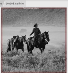 10 x 10in Hardboard Gloss Photo Panel Cowboy Towing Horse With Buffalo