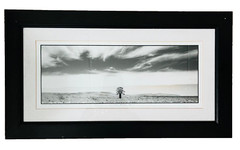 Original Signed Photography By Bruce Mortimer New Zealand South Africa