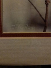 New Sealed John Fulton Original Photo Art Red Cardinal Numbered Signed 1988