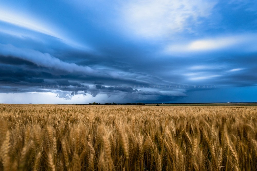 Wheat Field Under Thunderstorm Photo Print | Kansas Wall Art | Country Picture