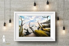 Boneyard Beach, Big Talbot Island, Florida Driftwood Décor, Coastal Photography