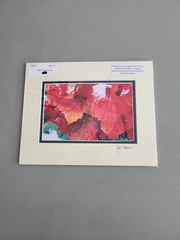 Photography Print By John T Slonina Matted 8×10 «Snow Leaves»-Read Description