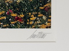 Ernst Haas «Flowers» Photograph