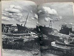 🎈Sup RARE Daido Moriyama Inu no Kioku, Shusho Memories of a Dog Final Chapter