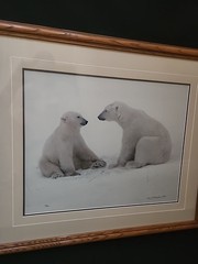 THOMAS MANGELSON – Polar Expressions Limited Edition 387/950 Sold Out Series HTF