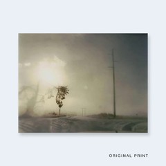 TODD HIDO Nazraeli One Picture Book 60 Crooked Cracked Tree