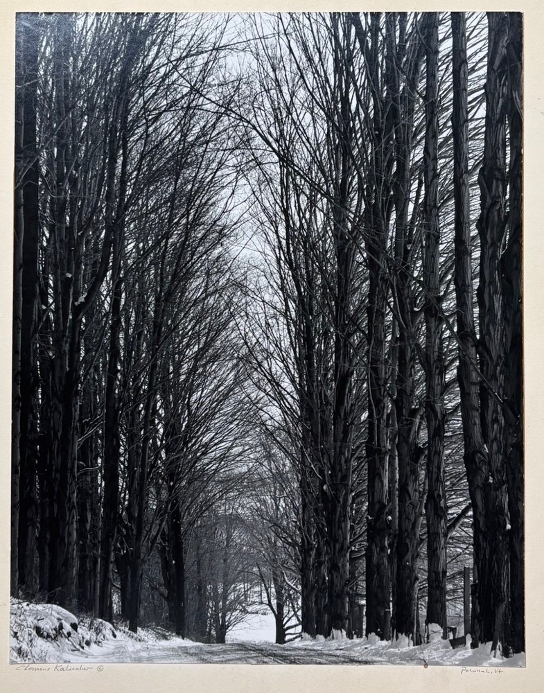 Original CLEMENS KALISCHER ‘Path in the Woods POWNAL VERMONT’ Landscape PHOTO