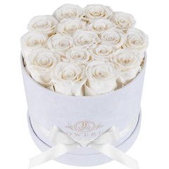 17 Flowers in a Luxury Suede Box, Birthday Gifts for Women, Preserved Flowers…