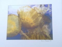 Eric Reese Photography Jellyfish 2007 signed fine print Whitefish MT 7.5″ x 9.5″