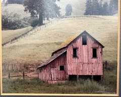 Signed Numbered Matted Barn Country Tree Photo 1988 Has Flaw