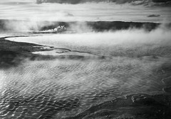 YELLOWSTONE NATIONAL PARK, WYOMING By Ansel Adams Fine Art Giclee Repro 17×24