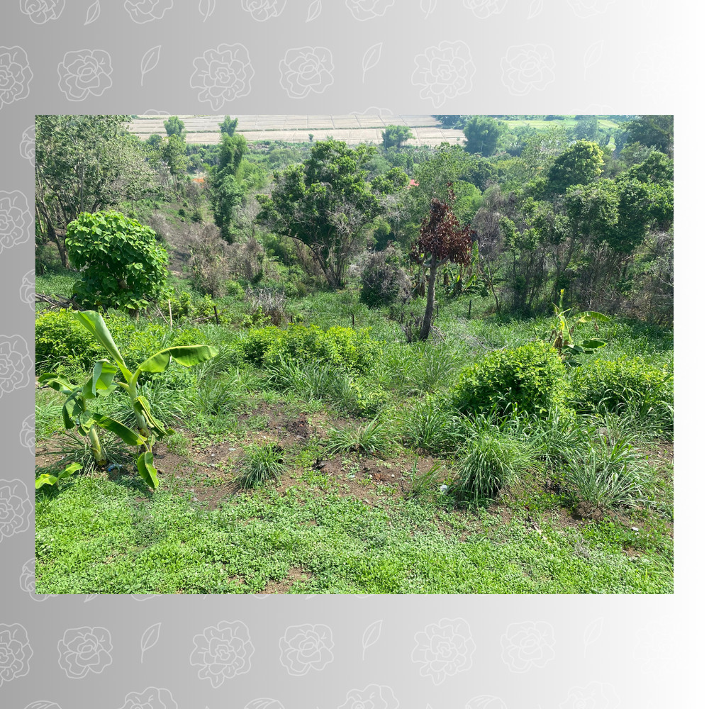 Verdant Hillside in the Philippines – Ideal for Nature and Landscape Enthusiast
