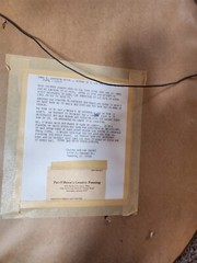VINTAGE GESSO FRAME 1920 DEBUTANTE WITH A SET OF 2