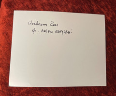 Rare Cibachrome Large Photo Signed Tokyo Haunted Souls Japan Portrait