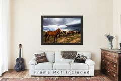 Horse Photography Print | Equine Picture | Oklahoma Wall Art | Western Decor