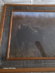 Tim DePuydt Framed Moose Photo Print 18×31 Rustic Montana Cabin Wildlife Art VTG