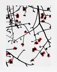 Duyvendijk, Kapok, Hong Kong, 2011. [Signed Original Color Photograph].