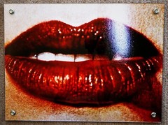 2 Large Photographs framed by Slabs of Acrylic Shown at L.A.’s Lab Gallery