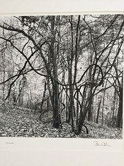 BRUCE BLUM Matted & SIGNED B&W Photo Print (9 3/4 «X 10»)-«Laocoon»