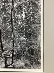 Bob Werling Signed #3 Lake Tahoe Black & White Framed Decorative Edition Print