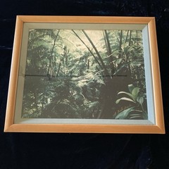 Vintage Hawaiian Rainforest Art Photography