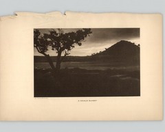 Wanamaker/Dixon «A Navajo Sunset» 1913 Photogravure from «The Vanishing Race»