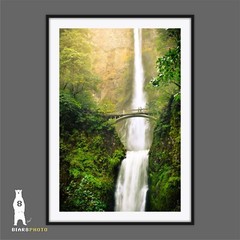 Multnomah Falls – Columbia River Gorge – Oregon Waterfalls – PNW Décor