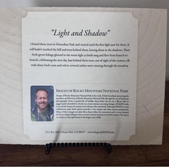 Light & shadow Mounted Matted Photo Erik Stensland Scenic Photography Trees