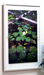 Loto en Salcedo, Dominican Republic, 20 x 30in, 2019-25, Art photo by Mel Gonz