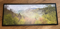 Smokey Mountains National Park wall art, 10×24″