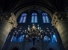 Fine Art Photography 5×7, 8×10, 11×14, 16×20 – Notre Dame Paris, France Streets