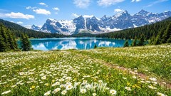 Digital Image Picture Photo Wallpaper Background Desktop AI Art Sample Product