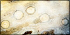 Fine Art Print, Color, 9×18, Abstracts, Minerals, Sea Jasper 3