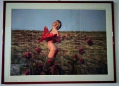 ORIGINAL PHOTO NATURAL TRANSGRESSION R.SCHICCHI MOANA IN POPPY CAMP