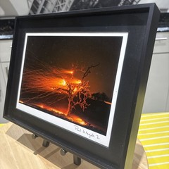 Photograph Print Titled Burning Tree” Signed By Paul Kitagak Jr. F-10”x12.75”
