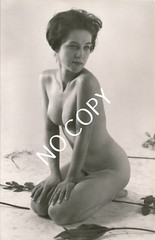 Photo art nude photo woman nude women art circa 1960. Unique X182