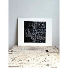 Black and White Botanical Fine Art Print Nature Photography Textured Paper 2939