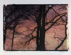 «Winter Sunset» Image Transfer by Cynthia Walker 2007 Original Piece 14″x11″