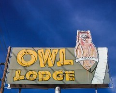 8×10 Vintage photo of Owl Lodge, South Tucson, AZ. Free Shipping!!