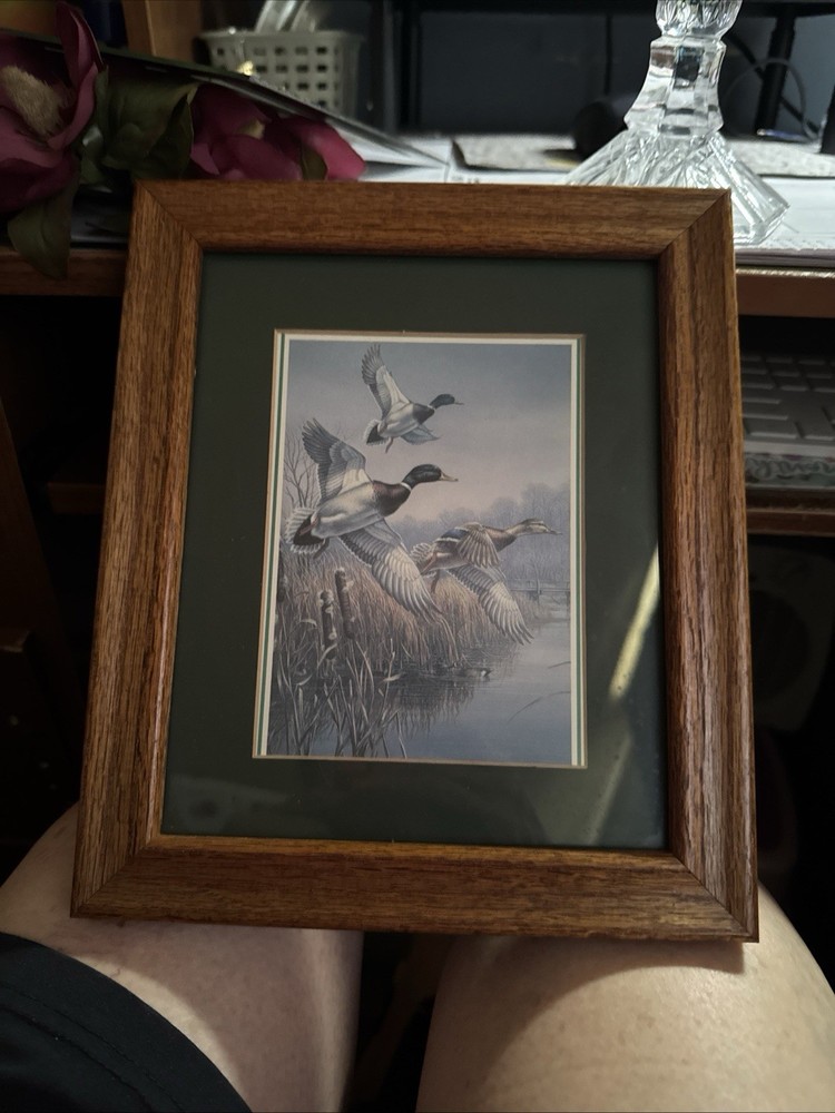 5X7 Picture Of Ducks