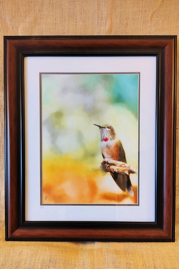 Fine Art Photography, Framed Color Print, 24.5″ x 20.5″, signed, Hummingbird