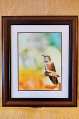 Fine Art Photography, Framed Color Print, 24.5″ x 20.5″, signed, Hummingbird