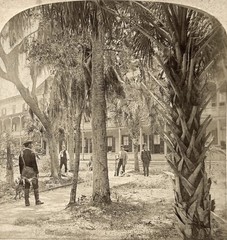 USA City Hall Indian River And Park, Rockledge Florida 1889 Photo Stereo Vintage