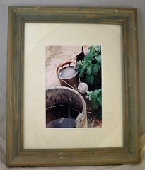 Garden Art Photography by Cathy A. Richman Framed 4.5″ X 6″ PRINT COLOR