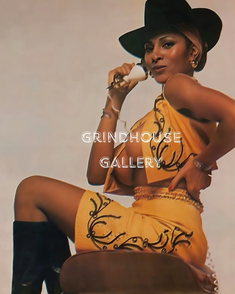 PAM GRIER Beautiful Sexy HOT Actress Pin-Up Wall Art Photo Print #16