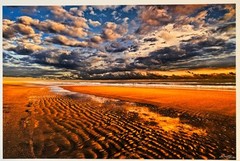Scott Geib Winter Beach Cape Hatteras Island Outer Banks NC Photograph Photo