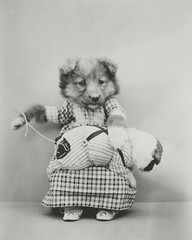 dog puppy pup baby art print Harry Whittier Frees 8×10 vintage photo picture #31