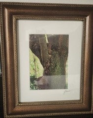 Luciano-Mario Duse Signed Numbered Christ In Tree