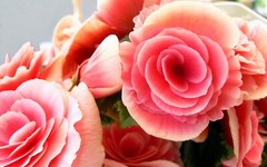 100 Amazing Mixed Desktop Computer Backgrounds Wallpaper Bundle Pack 335